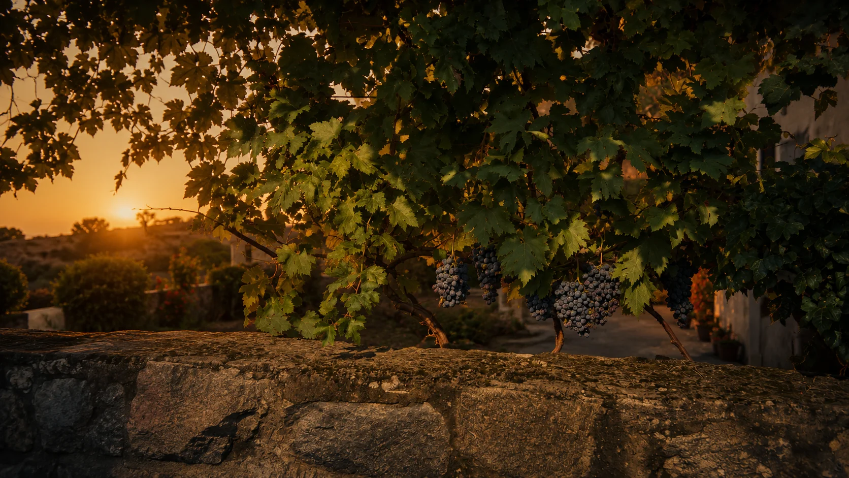 Stogiannis Winery in Kavala